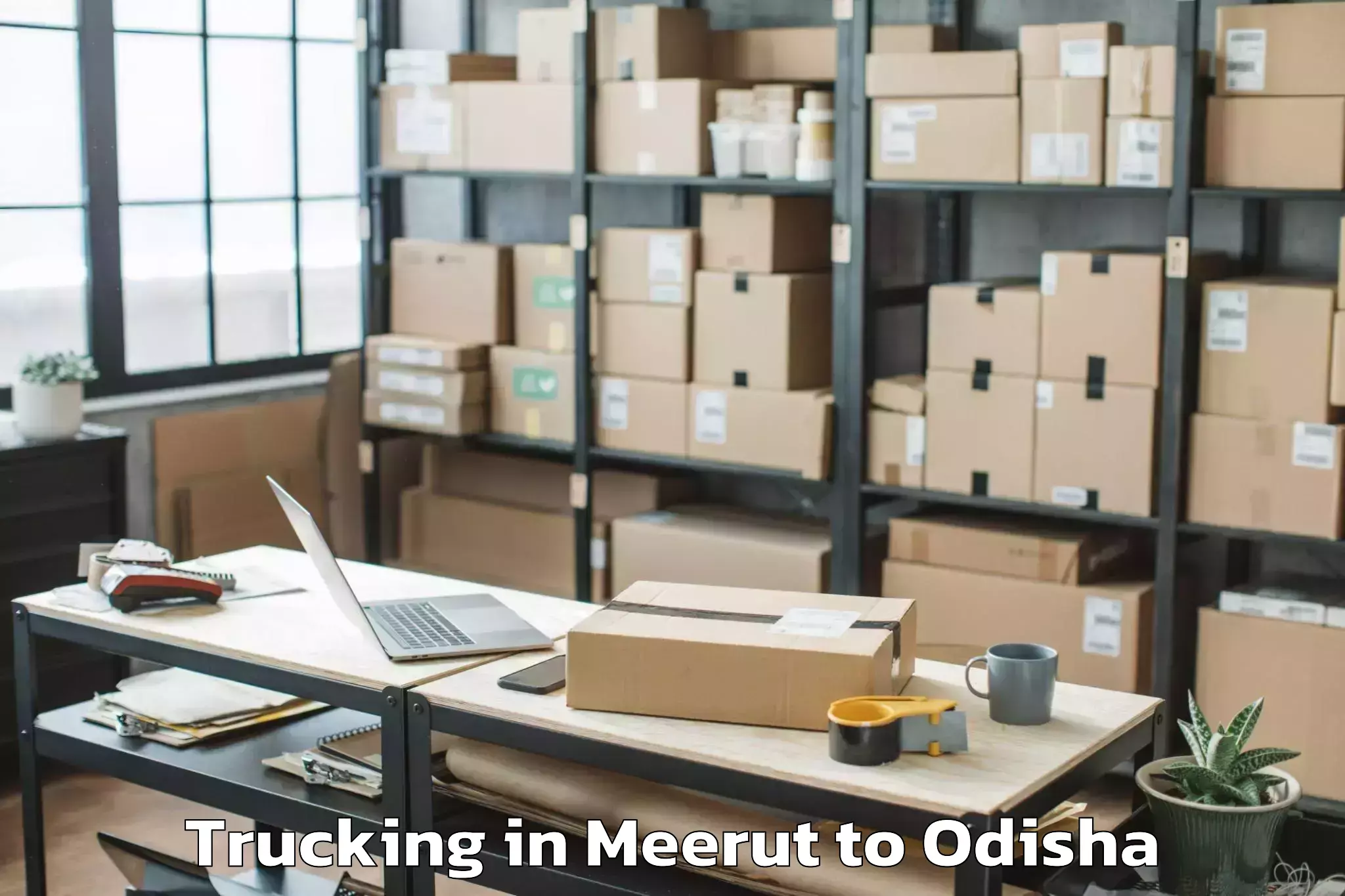 Book Meerut to Chandiposh Trucking